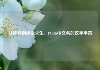 从吃鸡到绝地求生，PUBG中文名的汉字宇宙