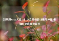 别只蹲Steam大促3A！小众硬核惯性甩尾神作 老司机爽感直接锁死