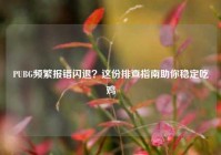 PUBG频繁报错闪退？这份排查指南助你稳定吃鸡