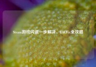 Steam游戏闪退一步解决，EACFix全攻略