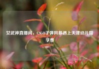 女武神直播间，CSGO子弹风暴遇上天津幼儿园学费