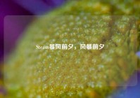 Steam暴风前夕，风暴前夕