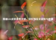 韩服LOL皮肤查看攻略，轻松预览全皮肤与数量