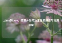 从ELO到CSGO，隐藏分如何决定你的段位与对局质量