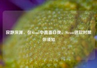 寂静深渊，在Alone中直面自我，Steam退款时限你须知