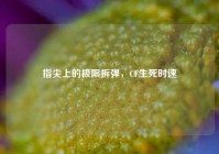 指尖上的极限拆弹，CF生死时速