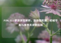 PUBG 12.15更新深度解析，新地图机制、枪械平衡与赛季末冲刺指南