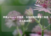 网易×Steam×小黑盒，玩家的游戏黄金三角是怎么炼成的？