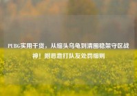PUBG实用干货，从缩头乌龟到清圈稳架守区战神！附恶意打队友处罚细则