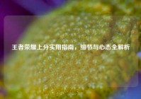 王者荣耀上分实用指南，细节与心态全解析