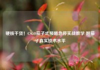 硬核干货！CSGO茄子式预瞄急停实战教学 附茄子真实技术水平