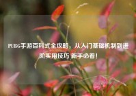 PUBG手游百科式全攻略，从入门基础机制到进阶实用技巧 新手必看！