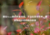 藏在Steam里的双重特别，不止玩家小世界，更有特别好评的核心标准