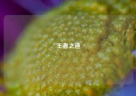 王者之道