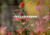 CF端游在线隐身真相揭秘