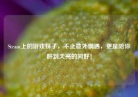 Steam上的游戏妹子，不止意外偶遇，更是陪你肝到天亮的同好！
