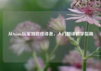 从Steam玩家到游戏译者，入门翻译教学指南