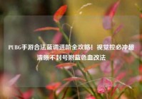 PUBG手游合法蓝调进阶全攻略！视觉控必冲超清晰不封号附蓝色血改法