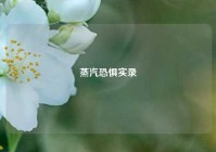 蒸汽恐惧实录