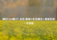 刚打CSGO懵ST？社区/商城ST全名曝光+用途区别一文讲透