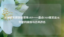 从神枪天降到香菜味AWP——盘点CSGO里笑出AK空枪的搞怪与古风改名