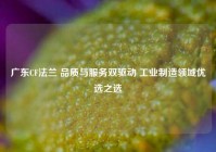 广东CF法兰 品质与服务双驱动 工业制造领域优选之选