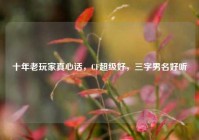 十年老玩家真心话，CF超级好，三字男名好听