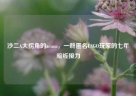 沙二A大拐角的aeaoa，一群匿名CSGO玩家的七年暗线接力