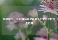 出草伏击，COD16战场幽灵法则下的突击步枪优选指南