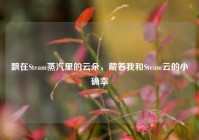 飘在Steam蒸汽里的云朵，藏着我和Steam云的小确幸