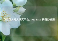 当吃豆人闯入蒸汽平台，PAC Steam 的奇妙邂逅