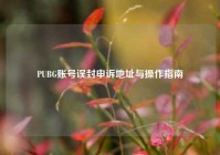 PUBG账号误封申诉地址与操作指南