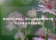 峡谷红鸟王养成记，把红buff当玩具的打野才懂统治节奏 红鸟王者是谁？