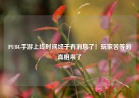 PUBG手游上线时间终于有消息了！玩家苦等的真相来了