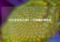 PUBG全名怎么读？一文搞懂正确发音