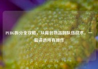 PUBG拆分全攻略，从背包物品到队伍战术，一篇讲透所有操作