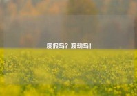 度假岛？渡劫岛！