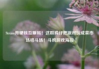 Steam开硬核互啄局！这群鸡仔把派对玩成菜市场格斗场！斗鸡游戏海报