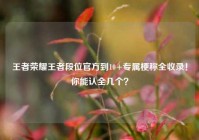 王者荣耀王者段位官方到10+专属梗称全收录！你能认全几个？