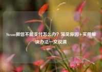Steam微信不能支付怎么办？常见原因+实用解决办法一文说清