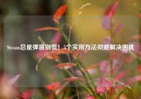 Steam总是弹窗别慌！5个实用方法彻底解决困扰