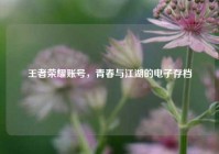 王者荣耀账号，青春与江湖的电子存档
