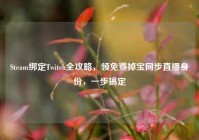 Steam绑定Twitch全攻略，领免费掉宝同步直播身份，一步搞定