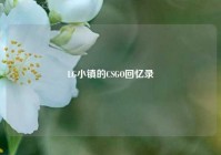 LG小镇的CSGO回忆录
