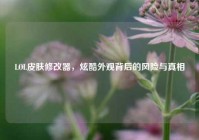 LOL皮肤修改器，炫酷外观背后的风险与真相