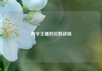 两字主播的沉默战场