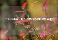PUBG页面没反应？这些方法帮你轻松解决！