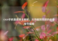 CSGO手机版道具全解析，从开箱到实战的必备细节指南
