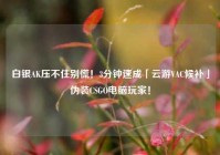 白银AK压不住别慌！3分钟速成「云游VAC候补」伪装CSGO电脑玩家！