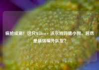 疯抢成潮！这只Walter·沃尔特玛德小狗，居然是最强编外队友？